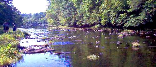 The Skinny Water looking downstream